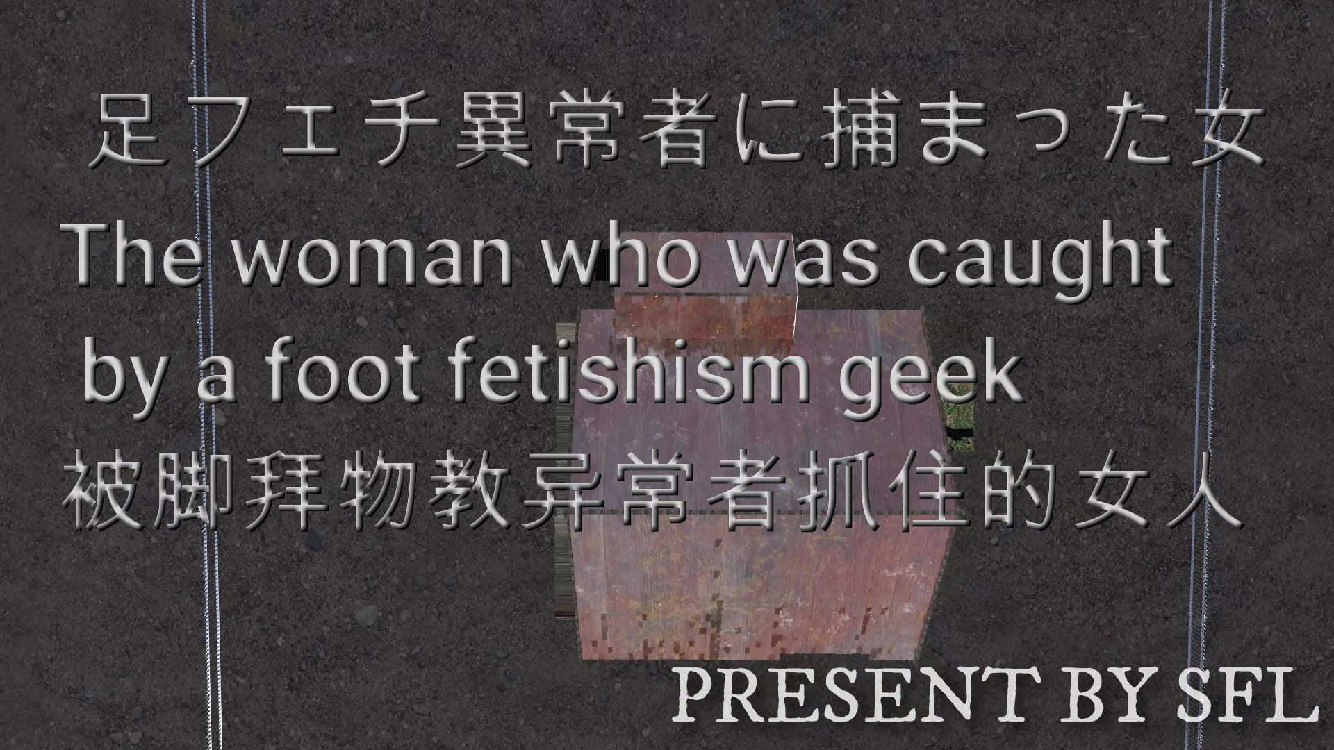 サンプル画像1:足フェチ異常者に捕まった女(SFL) [d_206445]
