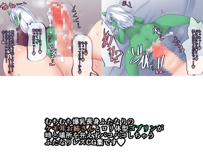 サンプル画像2:凸凹コンビの日常〜ふたなり獣人とロリゴブリン〜(おらんげぱうだー) [d_207291]