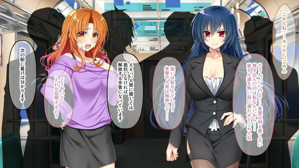 サンプル画像1:逃げ場なし！密室痴●電車 〜ガン堀り洗脳調教〜(どろっぷす！) [d_211051]