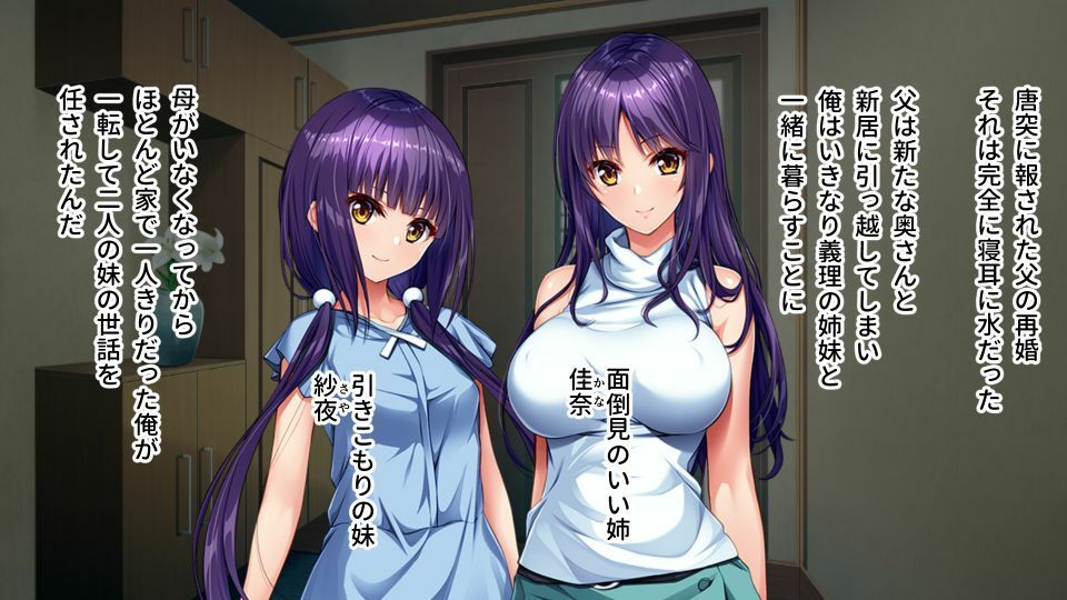 サンプル画像1:ひょんなことから姉妹丼生活 〜ドスケベ巨乳姉とむっつりつるぺた妹〜(どろっぷす！) [d_212275]