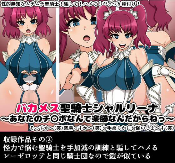 サンプル画像2:バカメス聖騎士総集編(にっちさんぎょう) [d_212565]