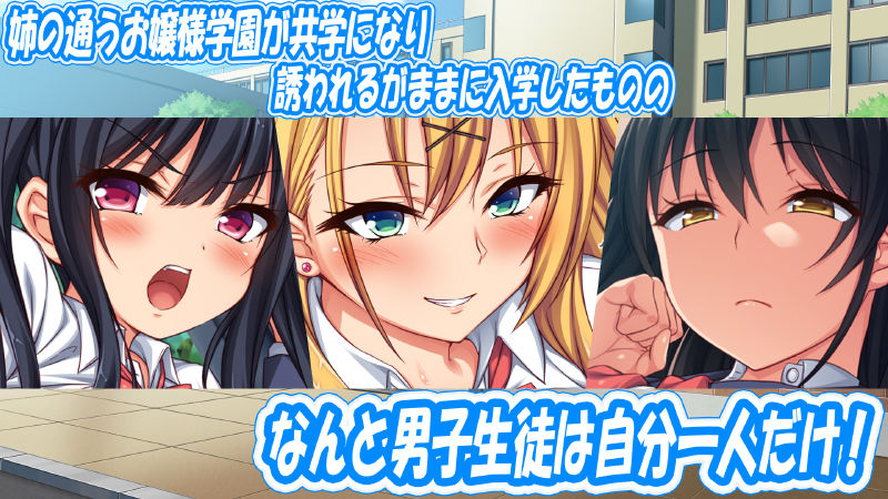 サンプル画像1:お嬢様学園に男子1人 絶倫チンポで友達100人出来るかな？(一億万軒茶屋) [d_213808]