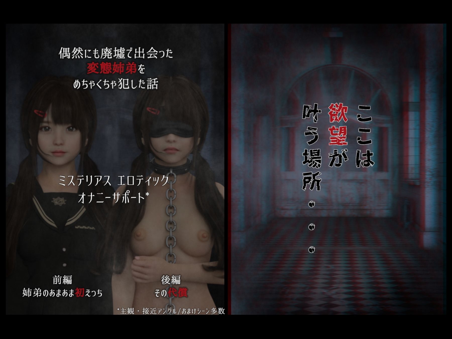 サンプル画像5:偶然にも廃墟で出会った変態姉弟をめちゃくちゃ犯した話（前編・後編）(SR3DART) [d_214982]