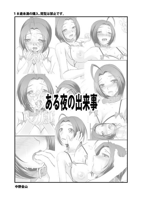 サンプル画像1:ある夜の出来事とCG集2本まとめ(中野金山) [d_217563]