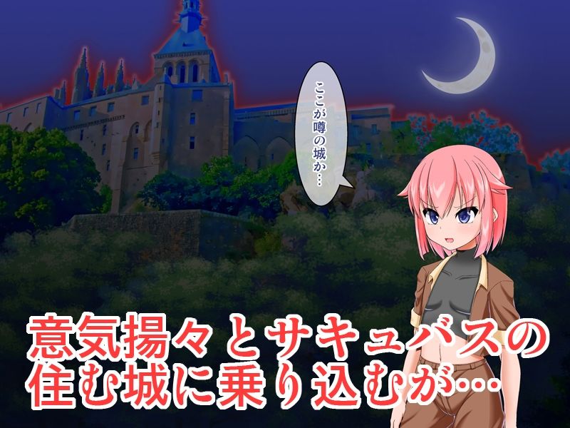 サンプル画像3:サキュバス城へようこそ(Endless Requiem) [d_220084]