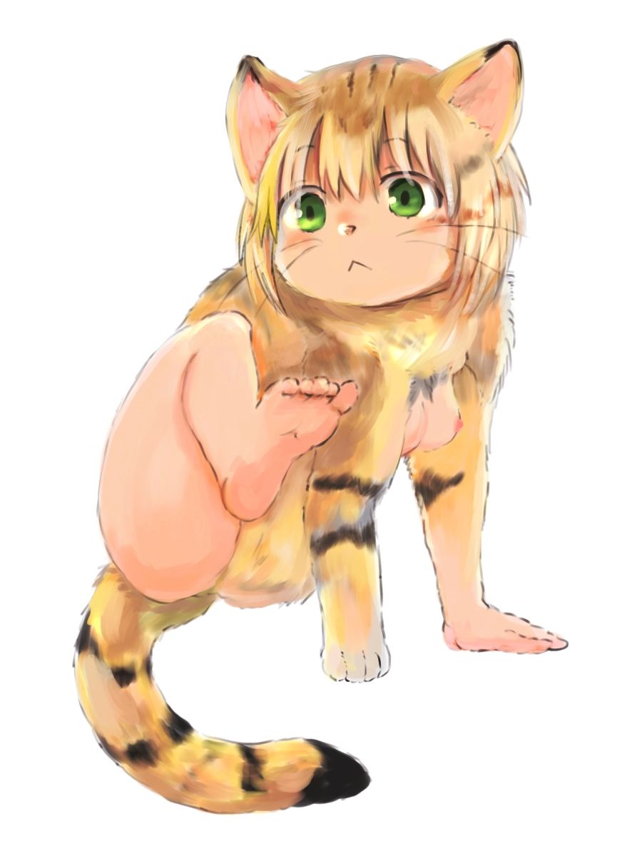 サンプル画像3:毎日獣化少女6(けもふわの森) [d_220122]