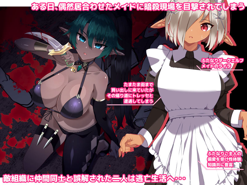 サンプル画像2:ふたなりダークエルフ暗殺者とメイドさんのふたレズ逃避行(朝風の雫) [d_220886]