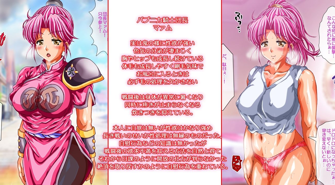 サンプル画像6:マァム堕ち〜抗えない恥辱淫楽に卑猥化する伝説の聖母〜(脳縮還元) [d_225687]