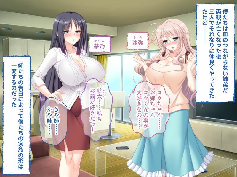 サンプル画像1:ブラコン義姉は慢性発情ちゅ〜 〜ナマOKツンデレ姉とおっとり姉〜(どろっぷす！) [d_227300]