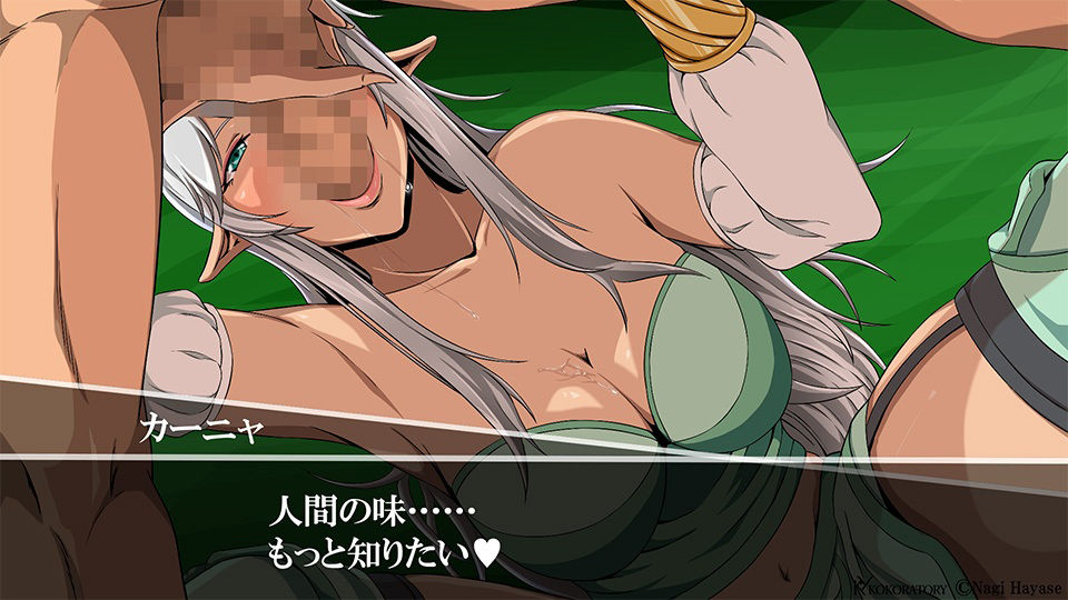 サンプル画像1:エルフが襲っちゃダメですか？:CGコレクション(ココラトリ) [d_227767]