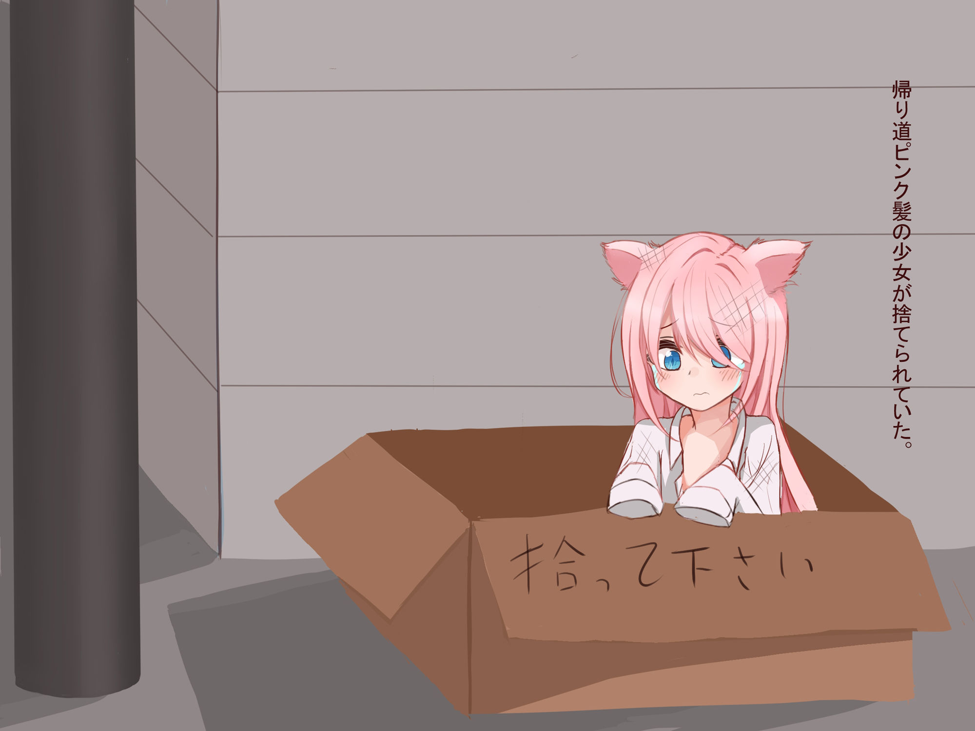 サンプル画像1:桃色猫耳少女を拾った(阿保) [d_228173]