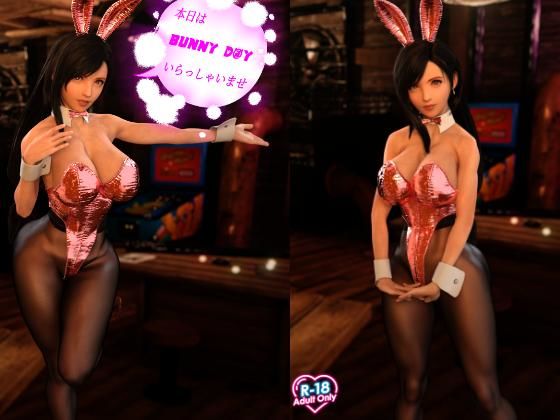 サンプル画像2:FINAL FANTASIA ティ〇ァ バニーガール(OhanaBunny) [d_232480]