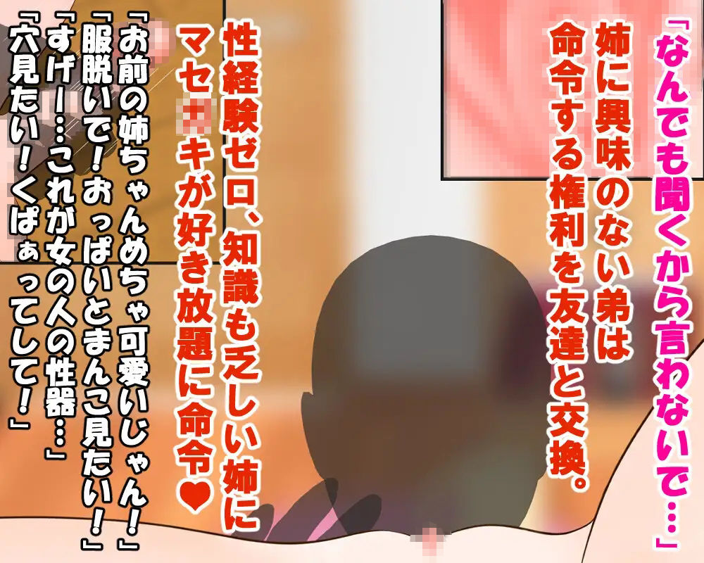 サンプル画像2:オナニーしてたら弟に見られて優しい姉の人生が終了しました。※流出した姉のオナニー、ハメ撮り動画あり(奈月わーくす) [d_233645]