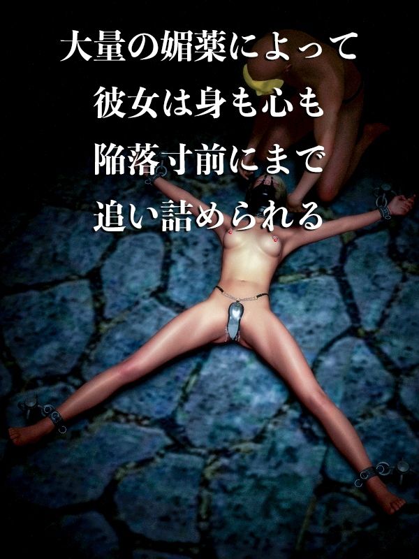 サンプル画像5:女剣士 家畜奴●調教（中）失われた誇り(electric sheep) [d_234274]