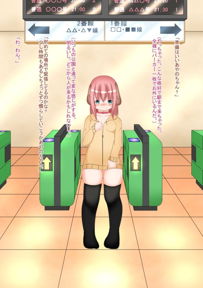 サンプル画像3:あやのちゃんのお散歩電車露出編 完全版(ろくごープラス) [d_235818]