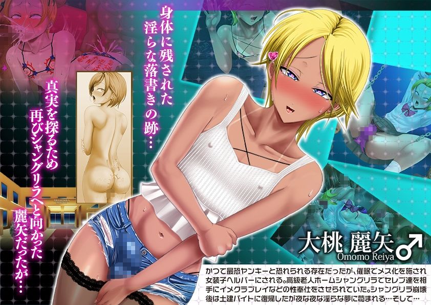 サンプル画像1:ヤンキー女装子ヘルパーVol.4 〜勃起妻 桃尻受精伝説〜(ブルーフリル) [d_236898]