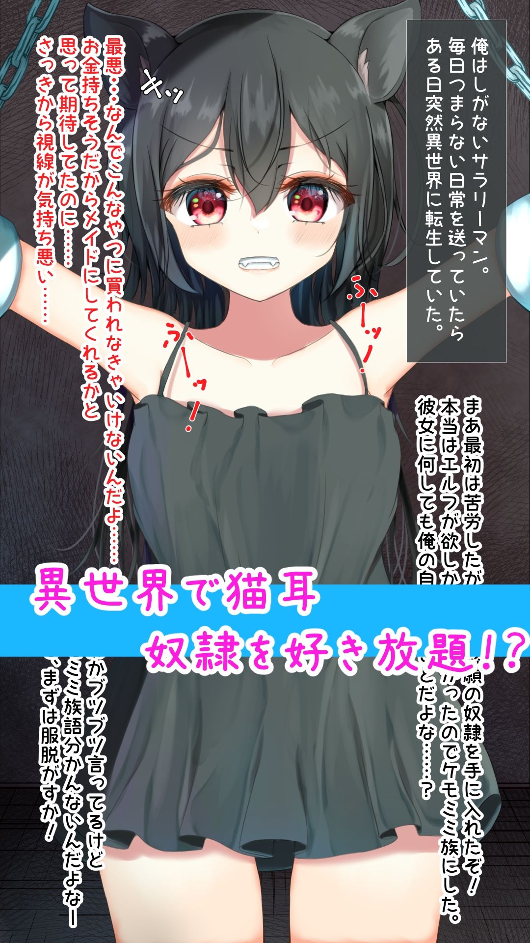 サンプル画像2:異世界転生したから猫耳奴●を買った(EstStar) [d_238602]