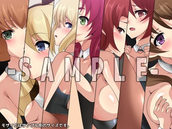 サンプル画像2:劣等生の周りの女の子たち シチュCG集『バニーガール』(Dressing＋Party) [d_240498]
