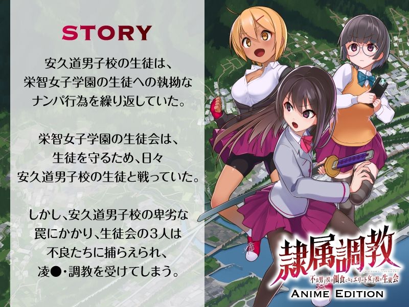 サンプル画像1:隷属調教 不良男子校の餌食になるエリート女子校生徒会 Anime Edition(ani-mo) [d_241876]