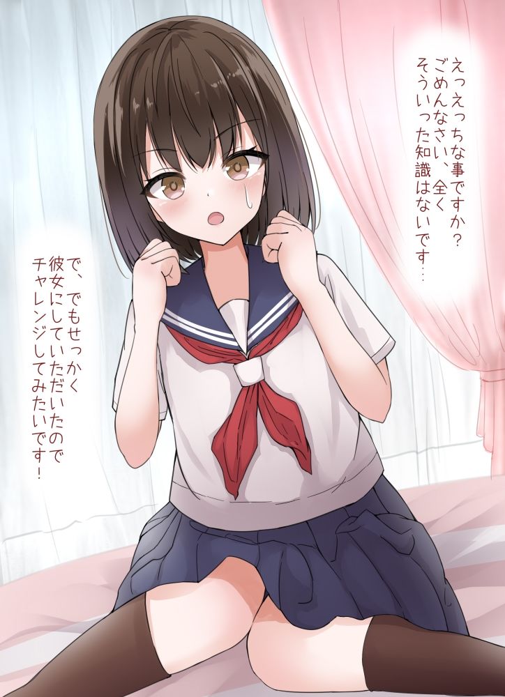 サンプル画像2:セーラー服のかわいい女の子を彼女にできたのでさっそくエッチ三昧してみた(melonlime) [d_243512]