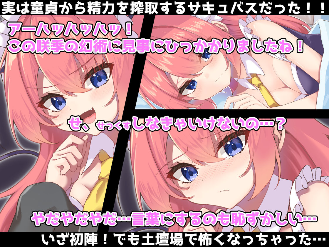 サンプル画像2:うちのメイドが実はサキュバスでした(純愛＊キュビズム) [d_243887]