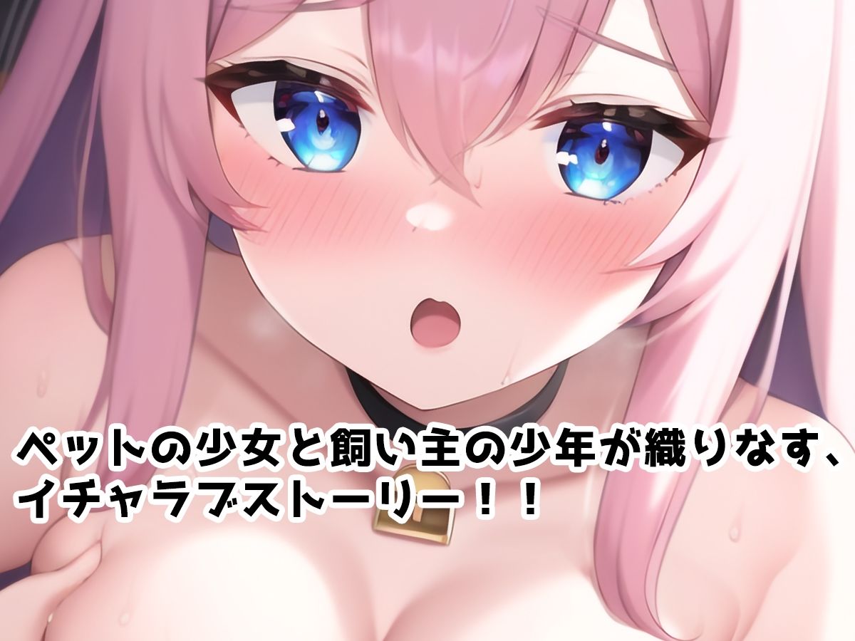 サンプル画像1:えっちしましょ！ごしゅじんさま！(BJ Works（BJワークス）) [d_245941]