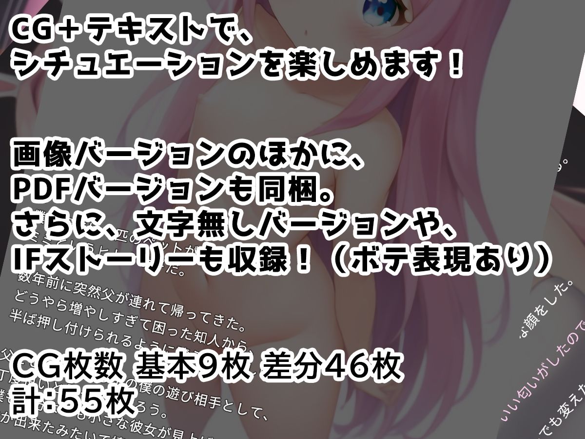 サンプル画像2:えっちしましょ！ごしゅじんさま！(BJ Works（BJワークス）) [d_245941]