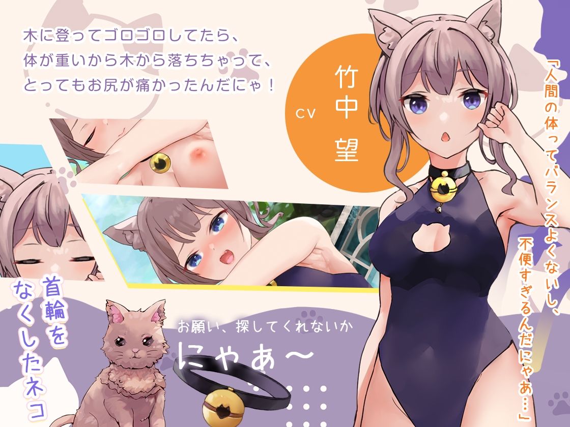 サンプル画像3:猫娘オーバーエッチ！(Colapi) [d_246520]