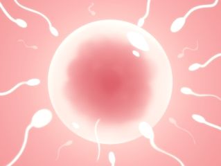 サンプル画像3:ネコミミ人妻と生交尾(みけるぎい) [d_247852]