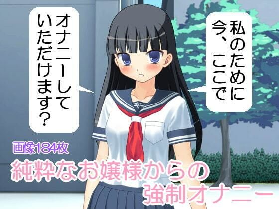 純粋なお嬢様からの強●オナニー