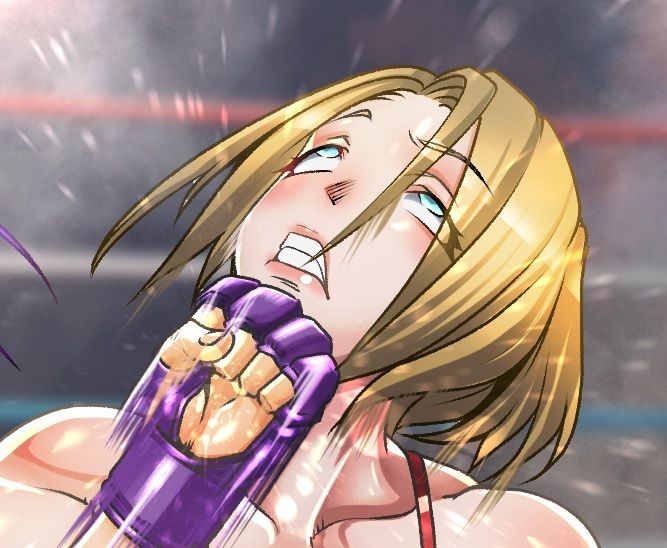 サンプル画像1:Fighting Scenes V(Fighting Scene) [d_248465]