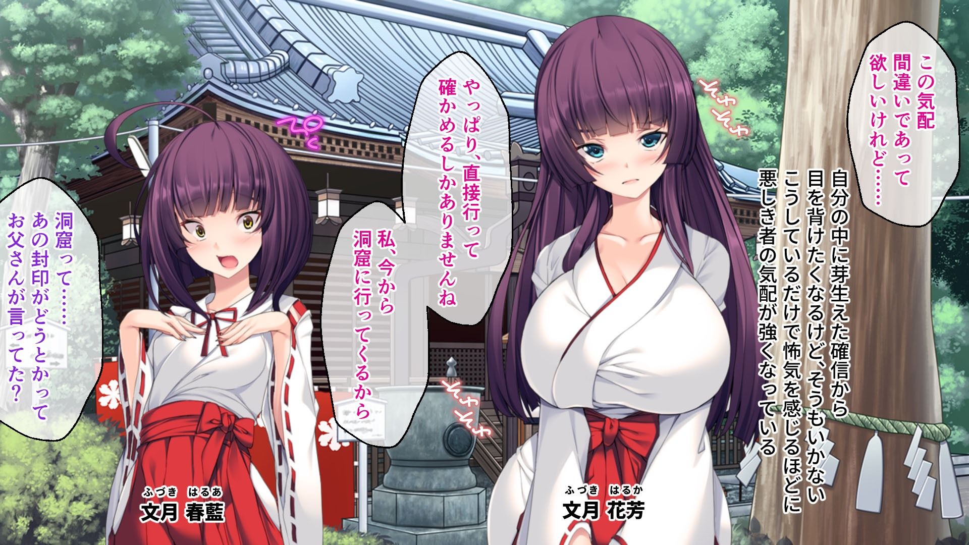 サンプル画像1:邪神に愛された巫女姉妹 〜洗脳？触手！！子種液を大量に飲まされ妊娠出産〜(どろっぷす！) [d_250242]