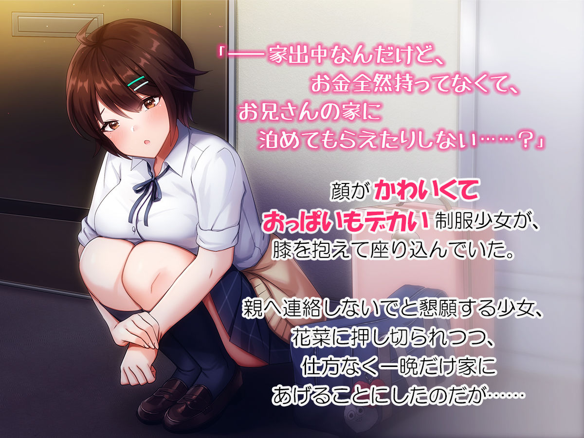 サンプル画像1:ナマイキな家出JKを泊めるとなにがおこるでしょうか！？(やればできる娘。) [d_250977]