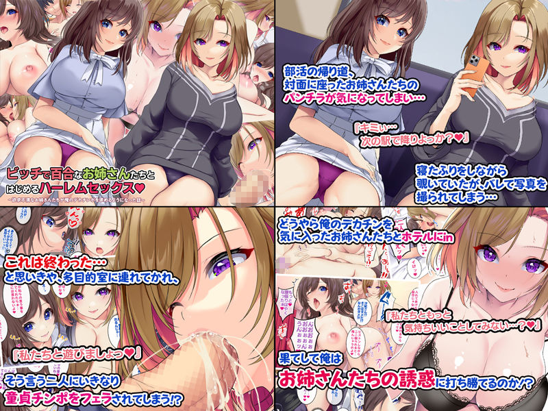 サンプル画像5:4作品超お買い得パックセール【第18弾】(すいのせ) [d_252027]