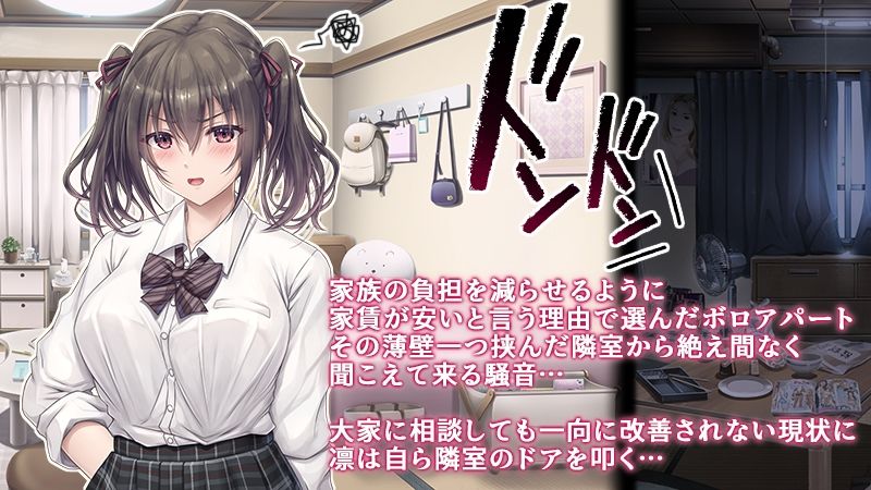 サンプル画像2:騒音被害(エアリーソックス) [d_254335]