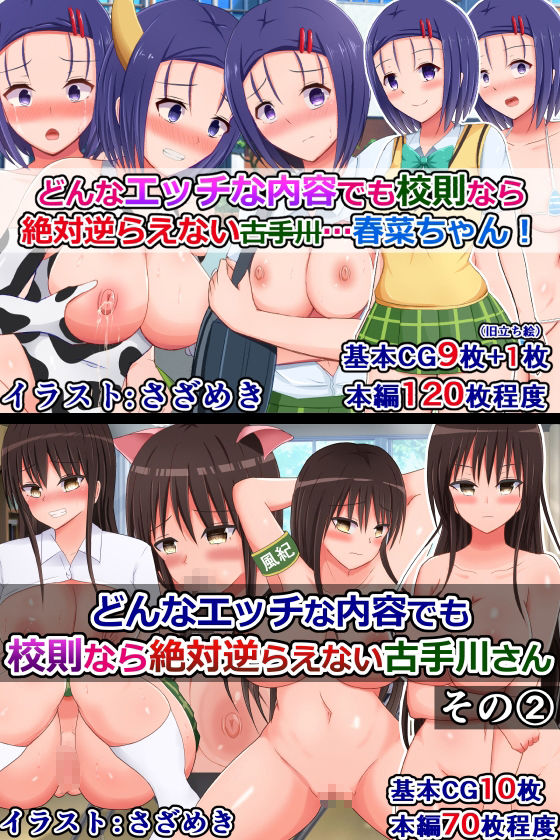 サンプル画像2:さざめき通りToLOVEる作品10本詰め合わせ（本編累計1000枚以上）(さざめき通り) [d_258710]