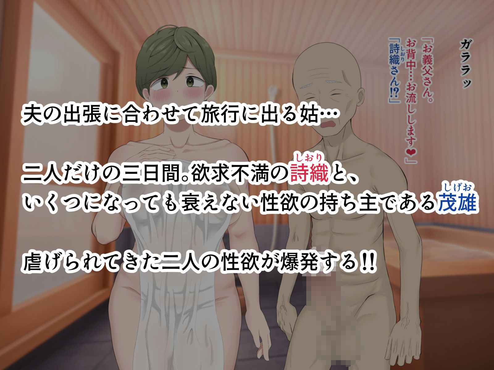 サンプル画像3:姑に、義父の性処理を頼まれて…(湯たんぽファーム) [d_259255]