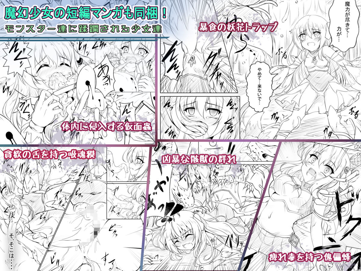 サンプル画像4:IF魔幻少女ドリームメイデンER・プレミアムBOX(ブラックウィング) [d_259584]