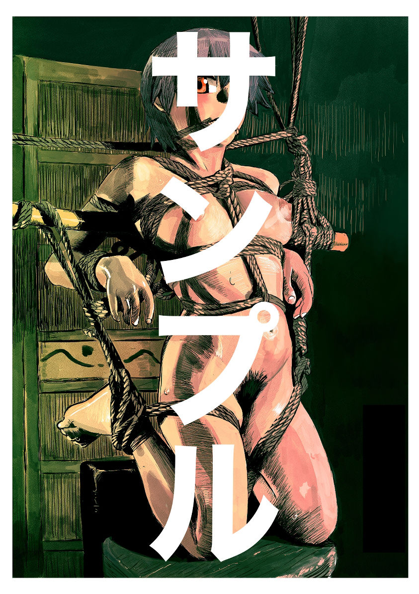 サンプル画像3:アニメキャラクターSM画集1(きゅうり夫人) [d_265948]