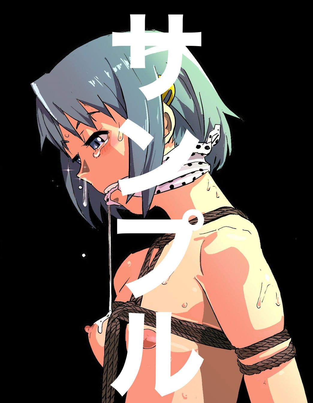 サンプル画像2:アニメキャラクターSM画集2(きゅうり夫人) [d_265950]