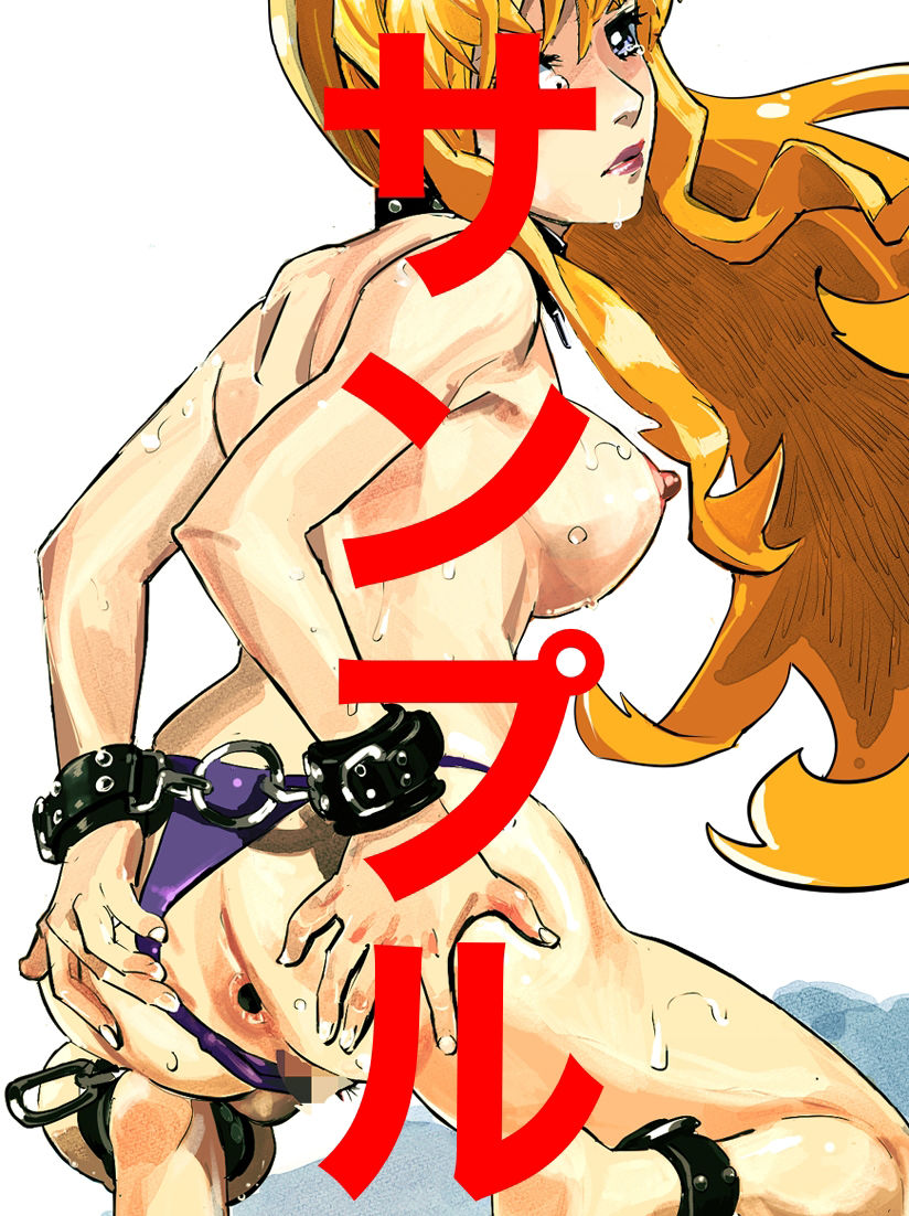 サンプル画像5:アニメキャラクターSM画集2(きゅうり夫人) [d_265950]