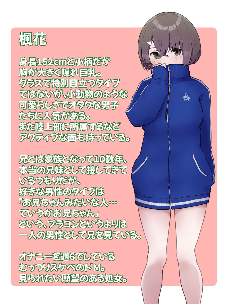 エロチューブ登録者100万人達成しないと助けが来ない無人島に送られた俺たち兄妹