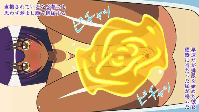 サンプル画像6:盗撮された排泄乙女たち〜コンプリートセット＋4K〜(人工美少女製作所) [d_267225]