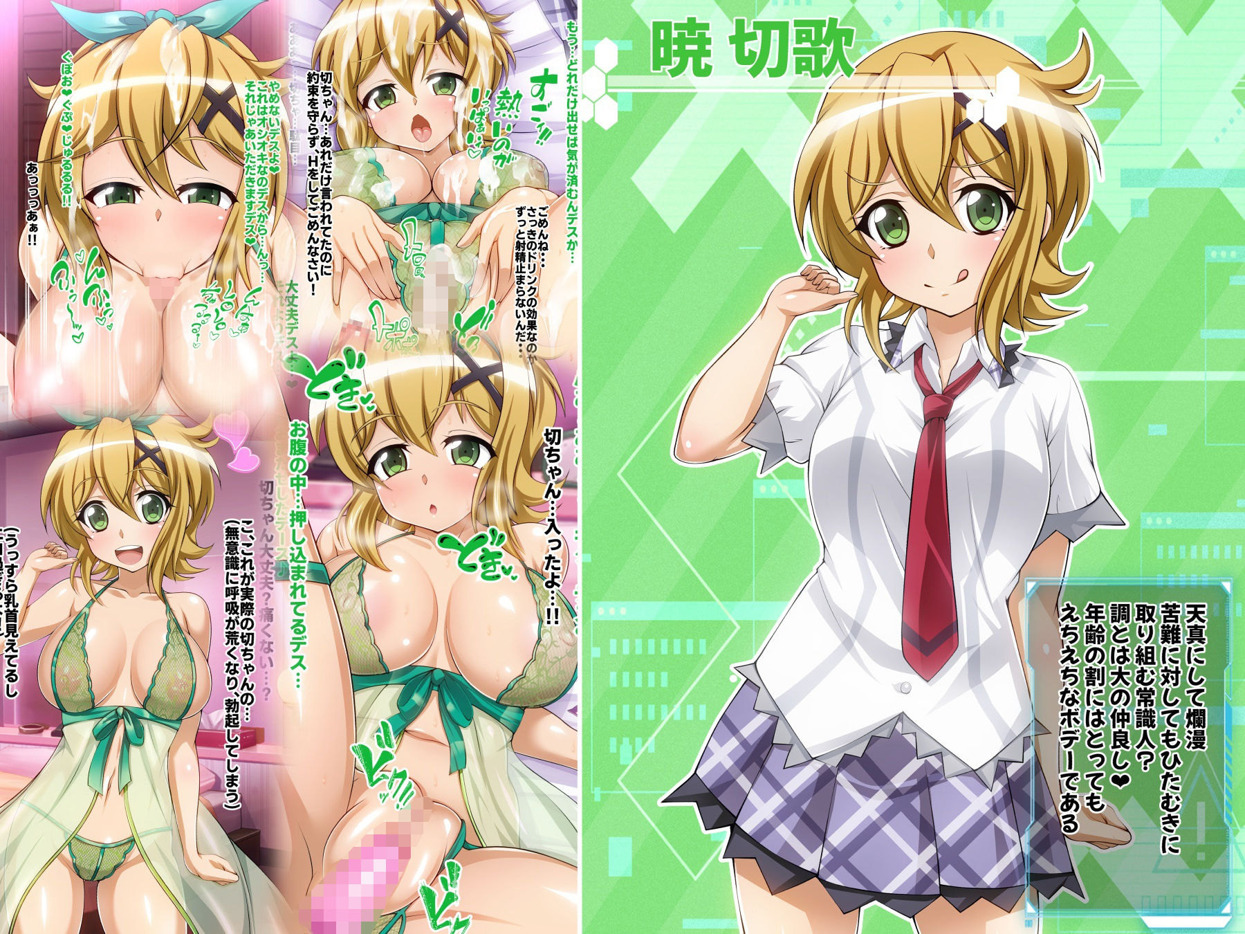 サンプル画像1:【戦姫絶頂シンフォギアH2】(ファンタスティック☆猫侍) [d_268687]