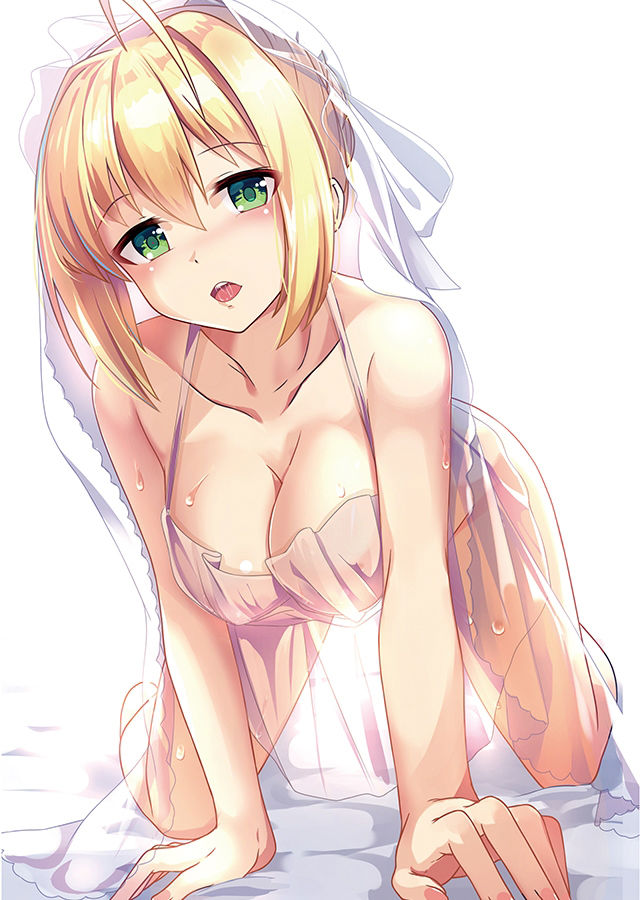 サンプル画像3:Illustrations of FGO(くわい屋) [d_270190]