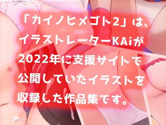 サンプル画像1:カイノヒメゴト2〜KAiイラスト集2022〜(KAi) [d_271123]