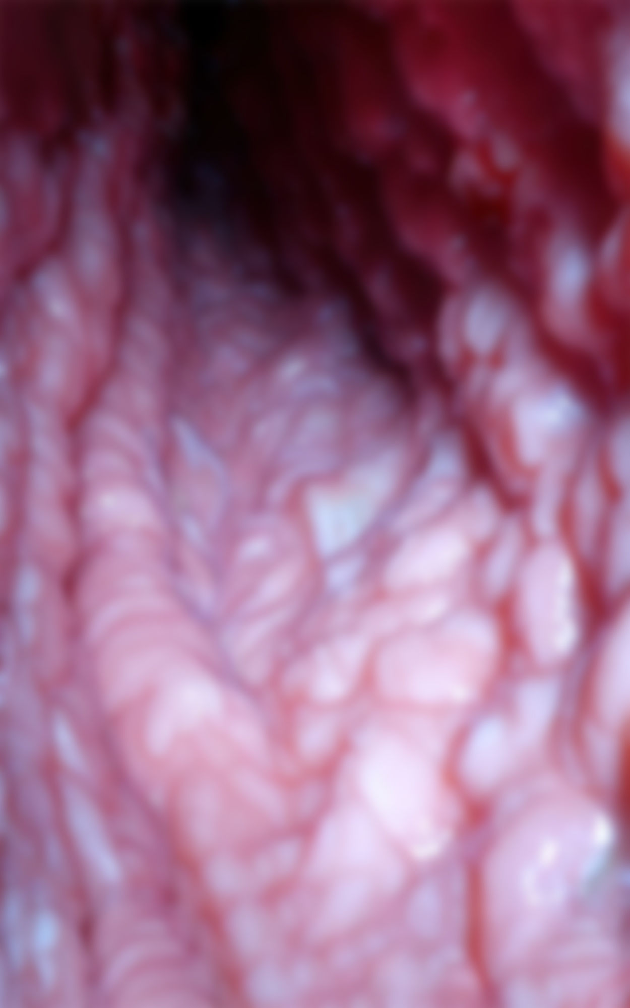 サンプル画像1:モザイクの向こう側 Beyond the mosaic 推しを、2倍楽しむためのお手伝い書(フェティッシュ堂) [d_273504]