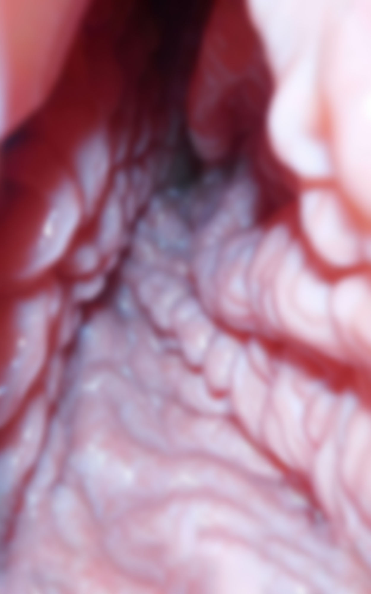 サンプル画像2:モザイクの向こう側 Beyond the mosaic 推しを、2倍楽しむためのお手伝い書(フェティッシュ堂) [d_273504]