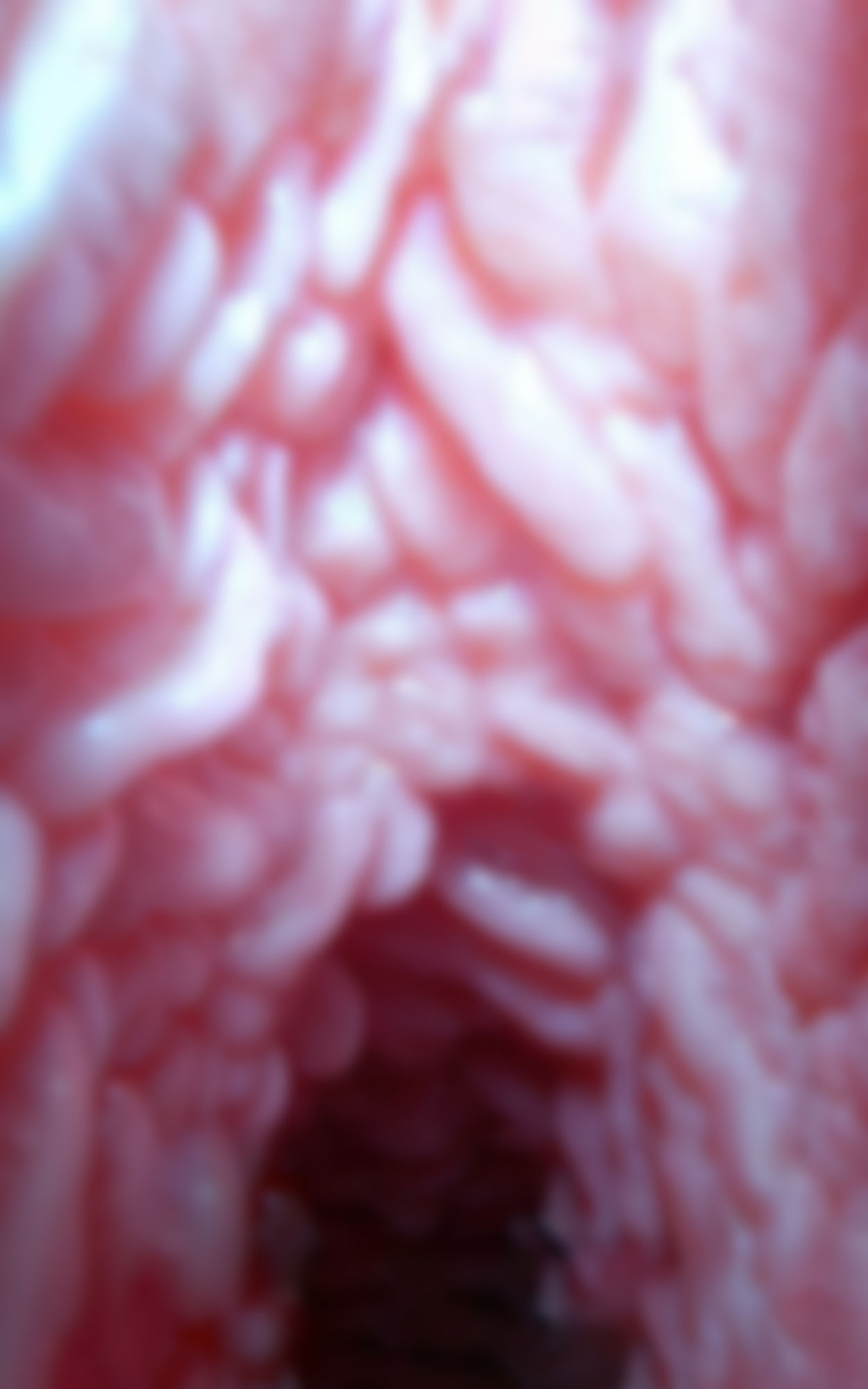 サンプル画像3:モザイクの向こう側 Beyond the mosaic 推しを、2倍楽しむためのお手伝い書(フェティッシュ堂) [d_273504]