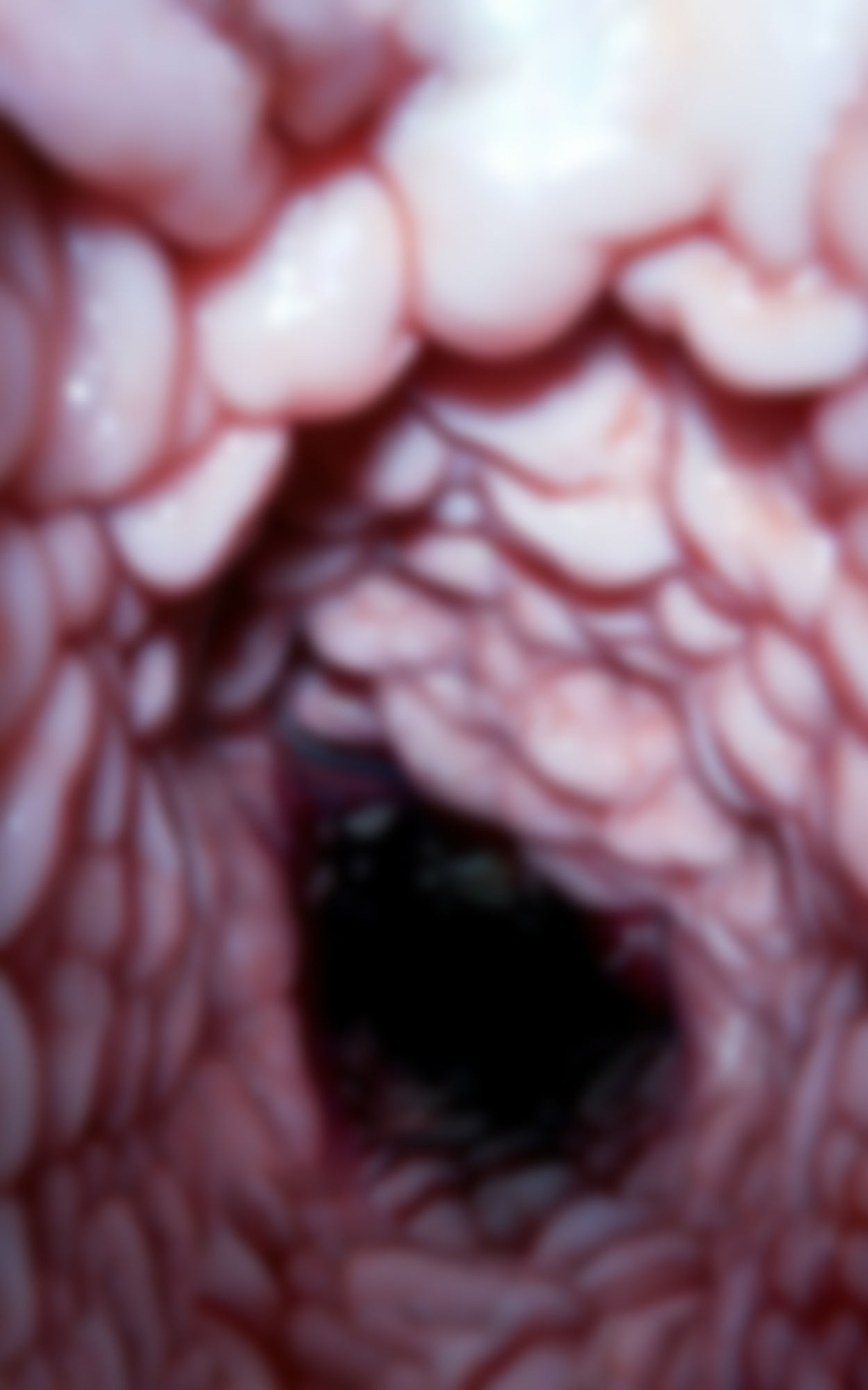 サンプル画像4:モザイクの向こう側 Beyond the mosaic 推しを、2倍楽しむためのお手伝い書(フェティッシュ堂) [d_273504]